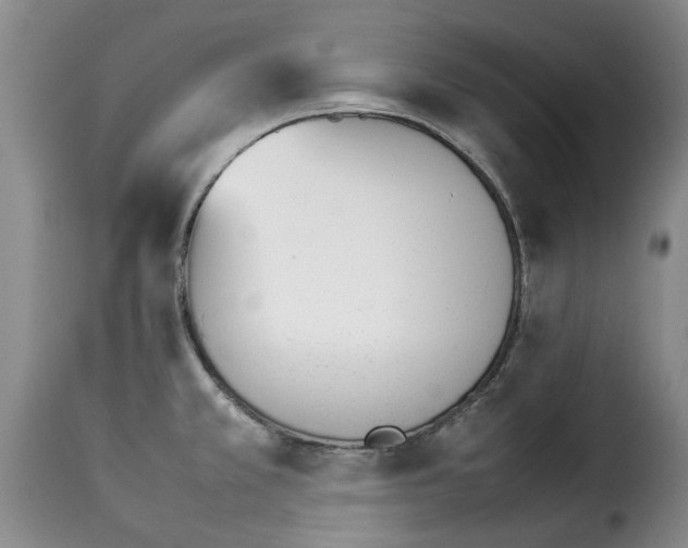 X0000114231381200911201059