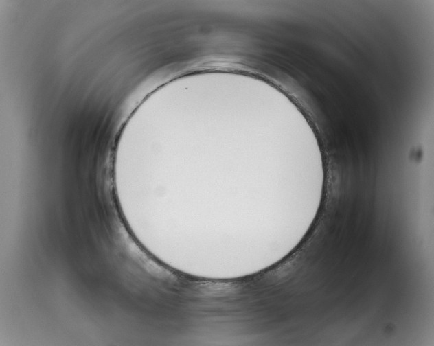 X0000114231382200911201059