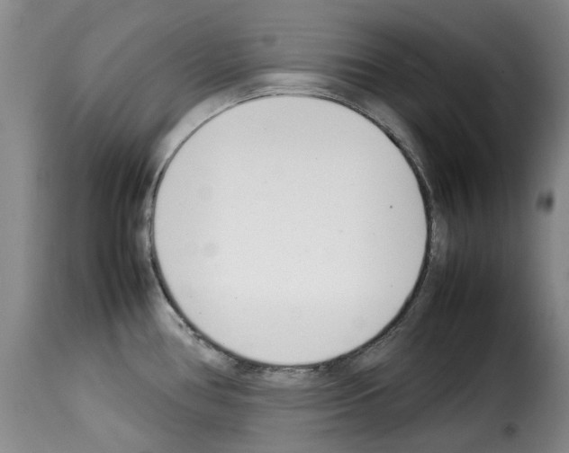 X0000114231386200911201059