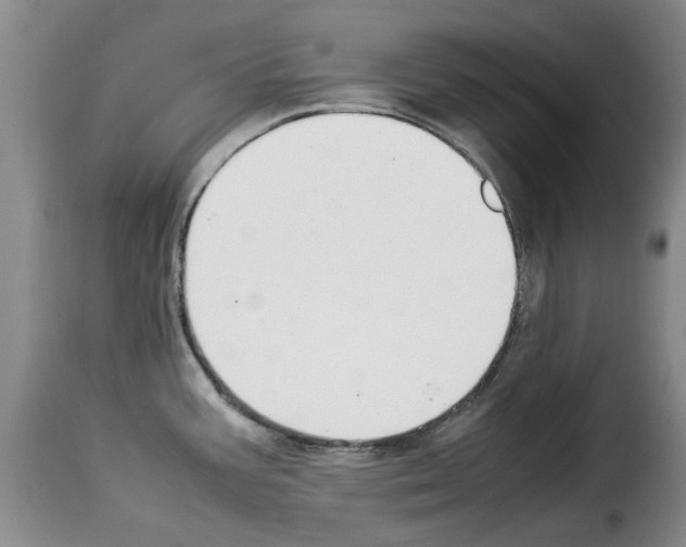 X0000114231387200911201059