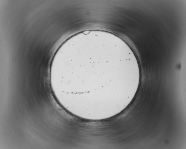 X0000114231388200911201059