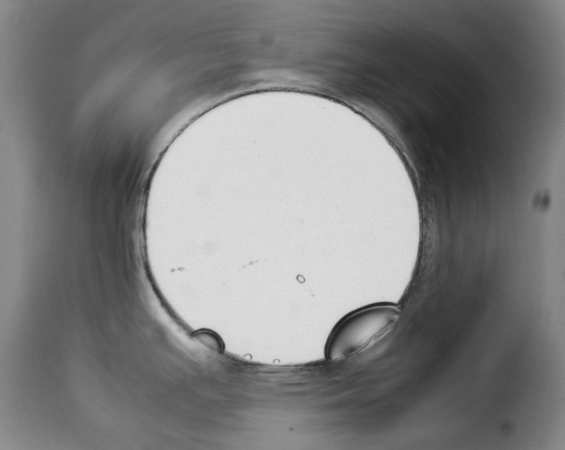 X0000114231391200911201059