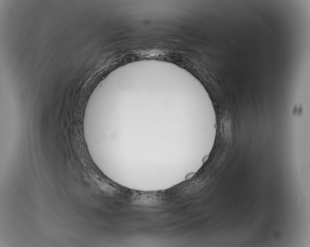 X0000114231393200911201059