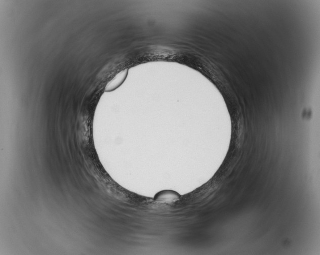 X0000114231394200911201059