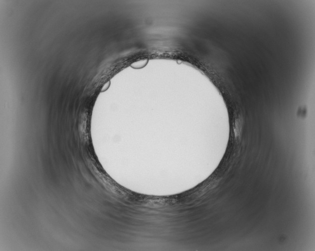 X0000114231396200911201059
