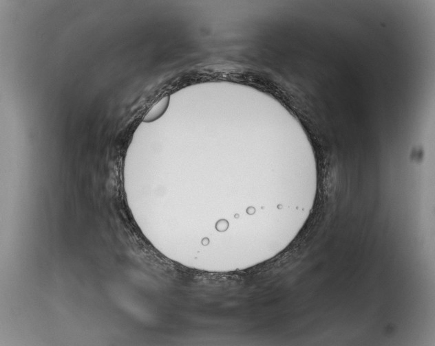 X0000114231397200911201059