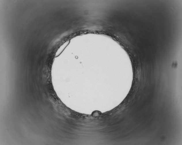 X0000114231398200911201059