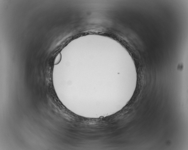 X0000114231399200911201059