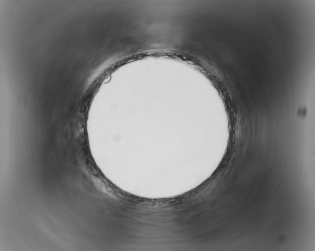X0000114231400200911201059
