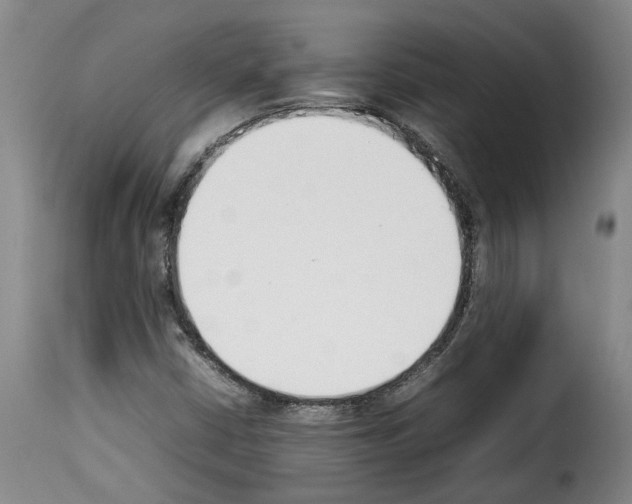 X0000114231402200911201059