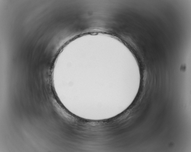 X0000114231404200911201059