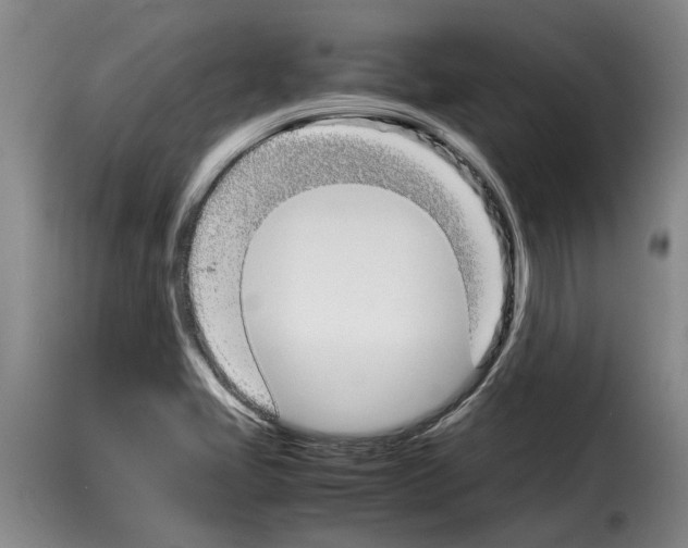 X0000114231405200911201059