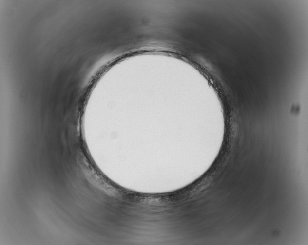 X0000114231408200911201059