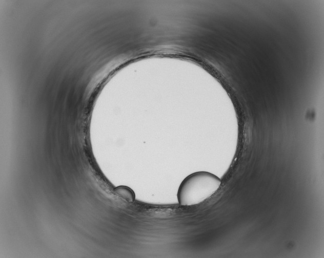 X0000114231410200911201059