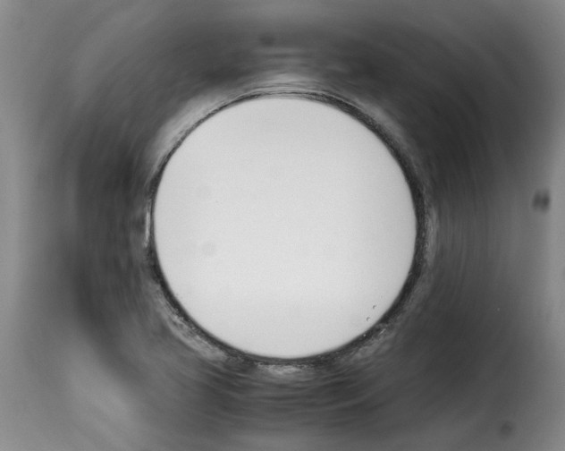 X0000114231413200911201059