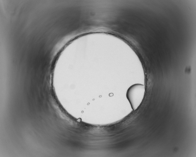 X0000114231414200911201059