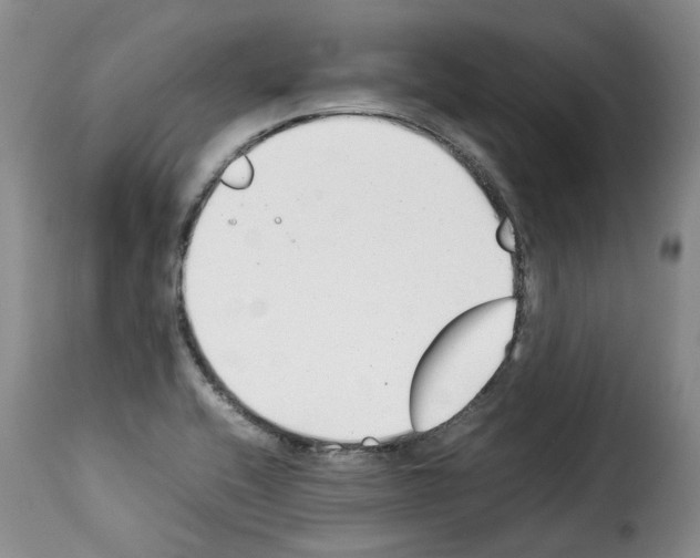 X0000114231416200911201059
