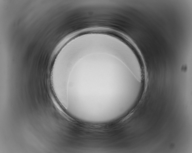 X0000114231417200911201059