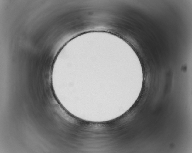 X0000114231420200911201059
