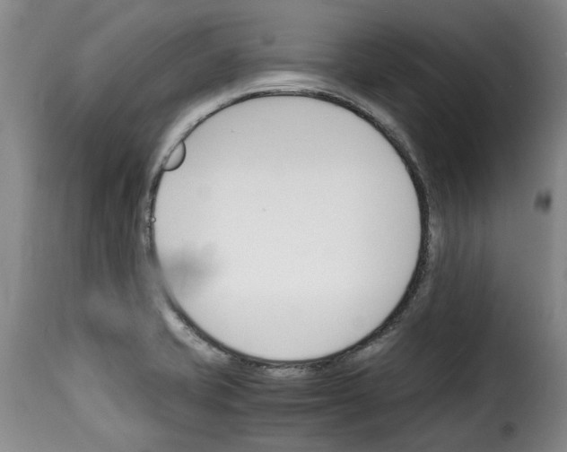 X0000114231421200911201059
