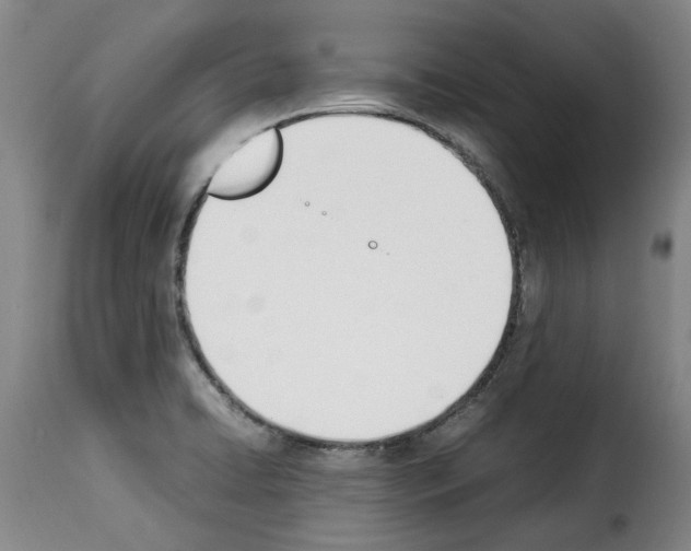 X0000114231422200911201059