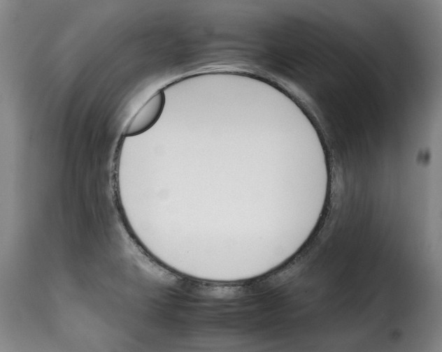 X0000114231423200911201059