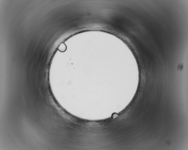 X0000114231424200911201059