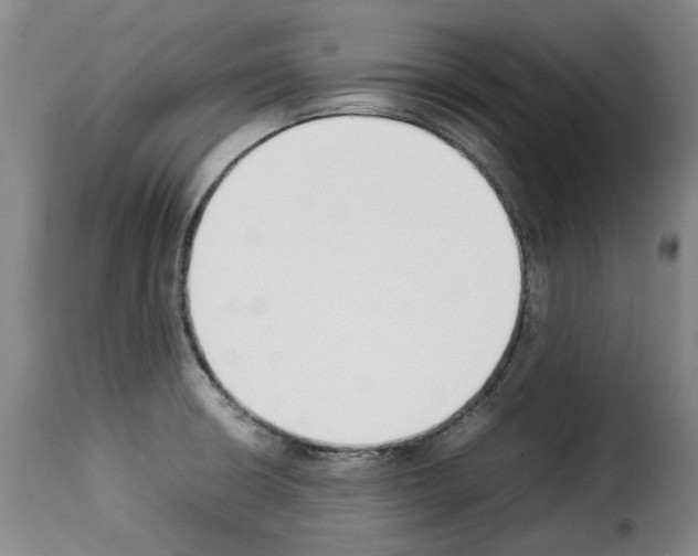 X0000114231426200911201059