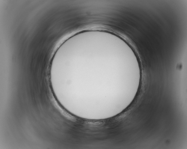 X0000114231429200911201059