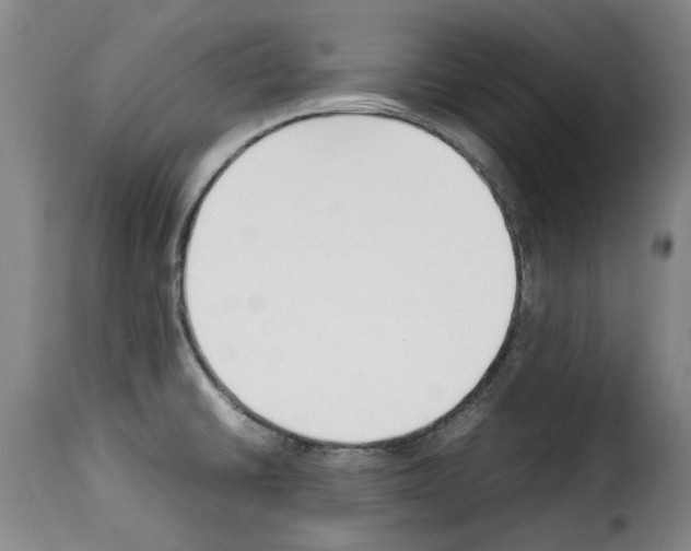 X0000114231430200911201059