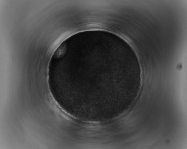 X0000114231431200911201059