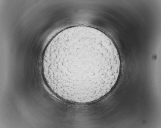X0000114231432200911201059