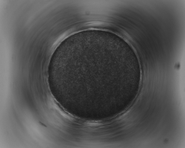 X0000114231435200911201059