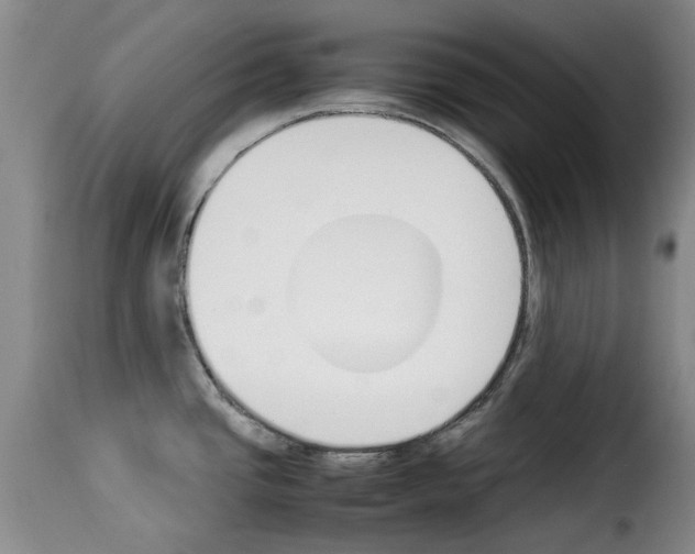 X0000114231437200911201059