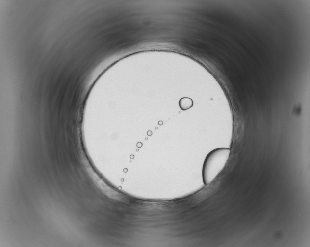 X0000114231438200911201059