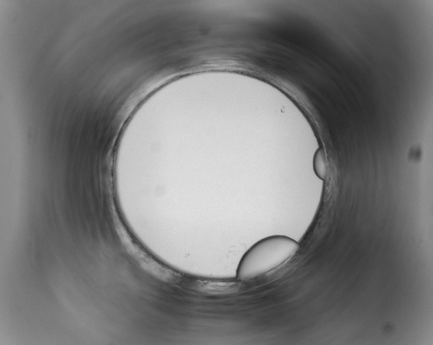 X0000114231439200911201059