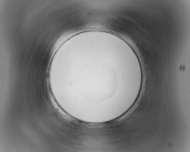 X0000114231440200911201059