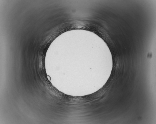 X0000114231442200911201059