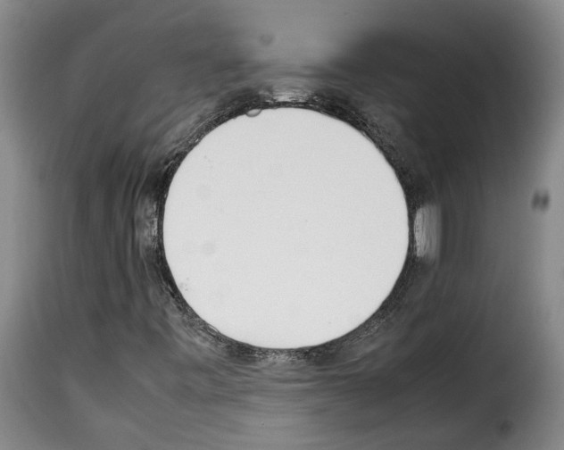 X0000114231443200911201059