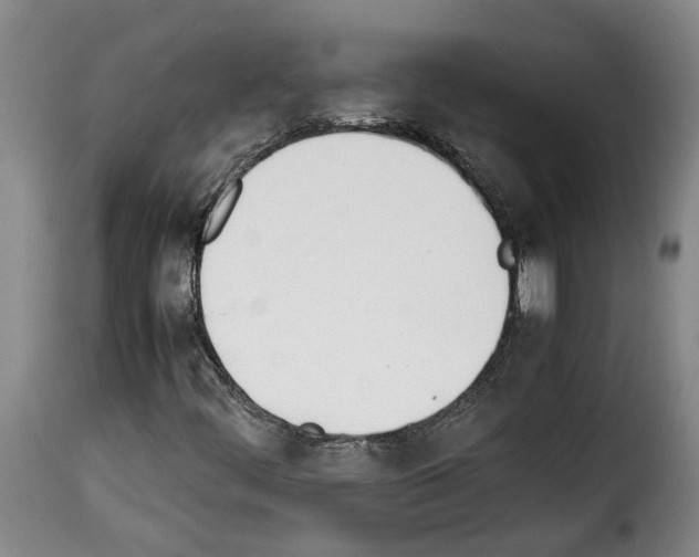 X0000114231444200911201059