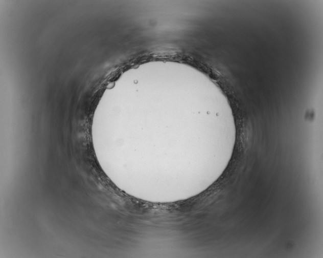 X0000114231445200911201059
