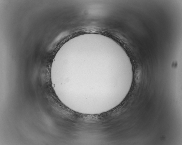 X0000114231446200911201059