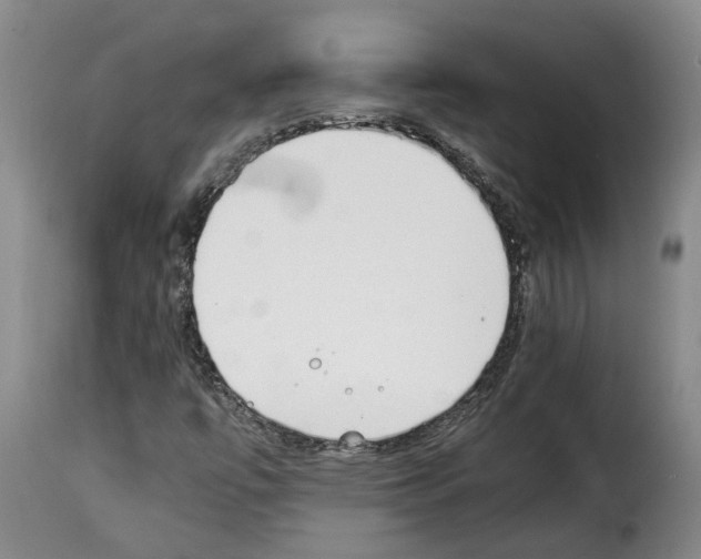X0000114231447200911201059