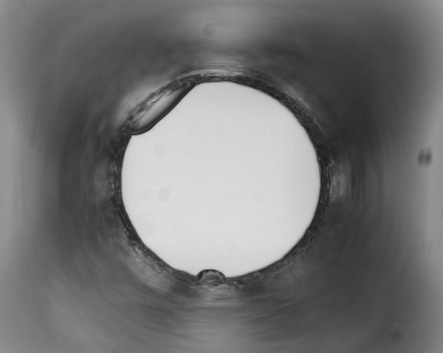 X0000114231448200911201059