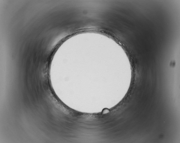 X0000114231450200911201059