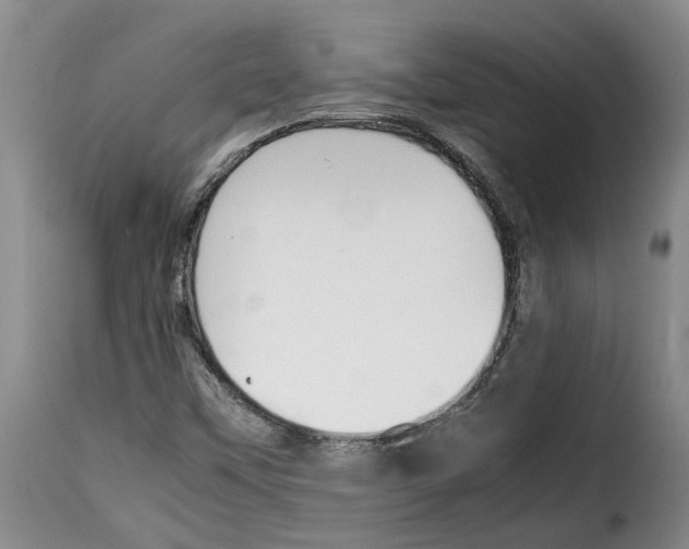 X0000114231451200911201059