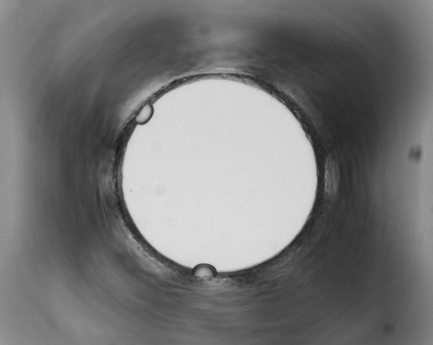 X0000114231452200911201059
