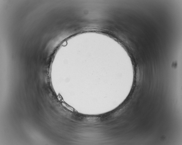 X0000114231453200911201059