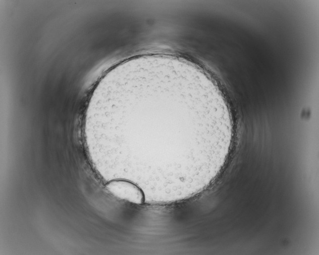 X0000114231455200911201058