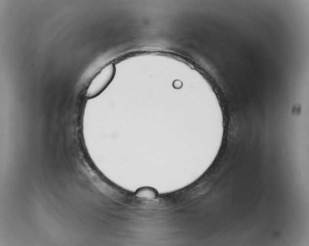 X0000114231456200911201058